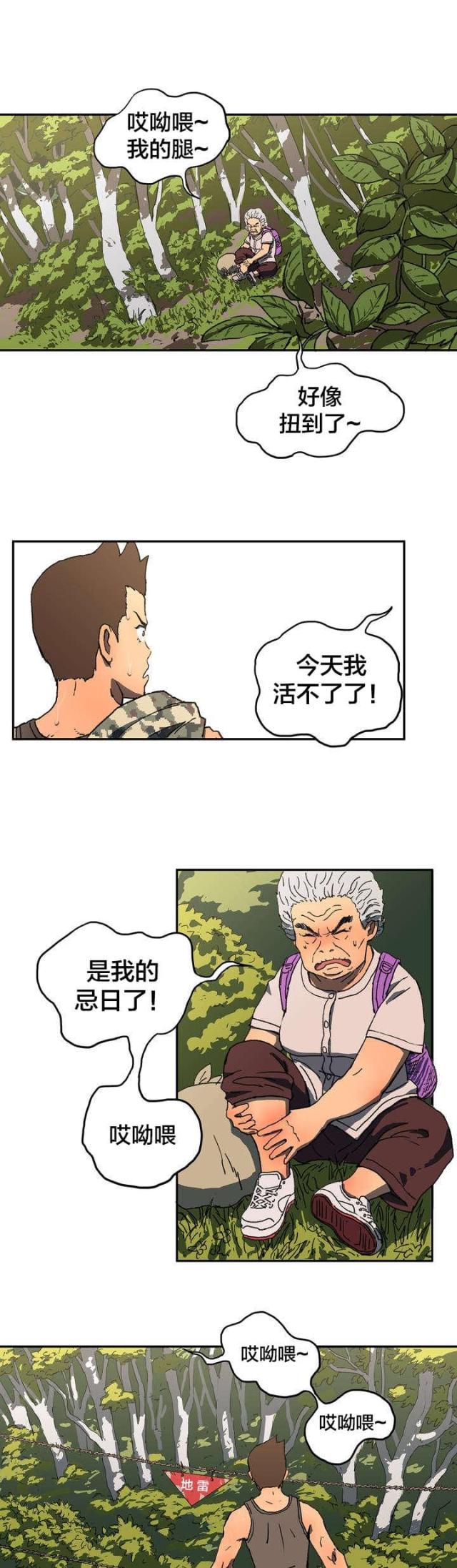 12.jpg