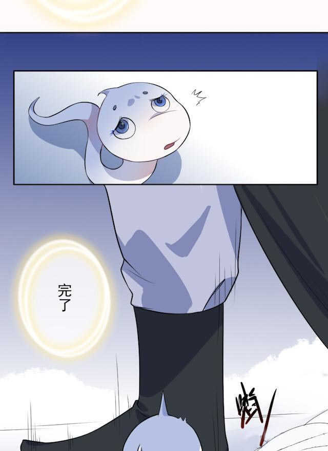 17.jpg