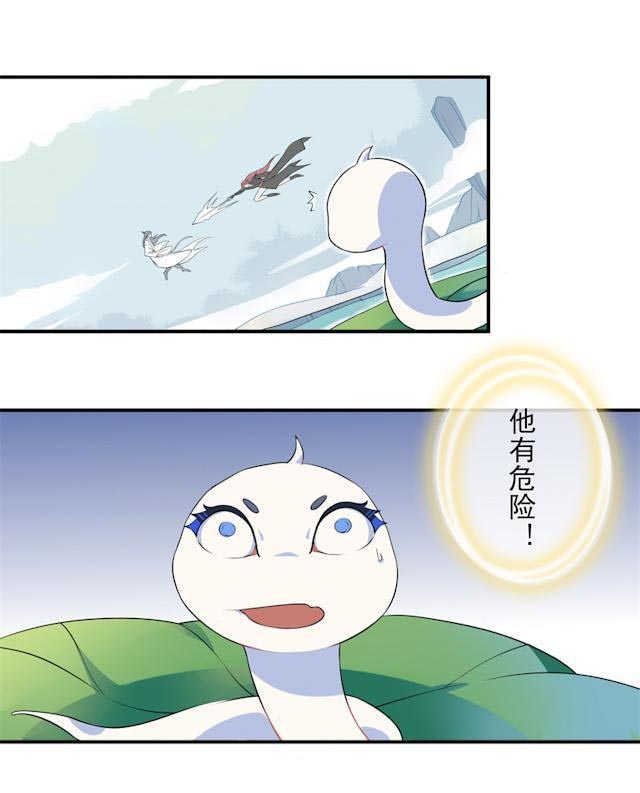27.jpg