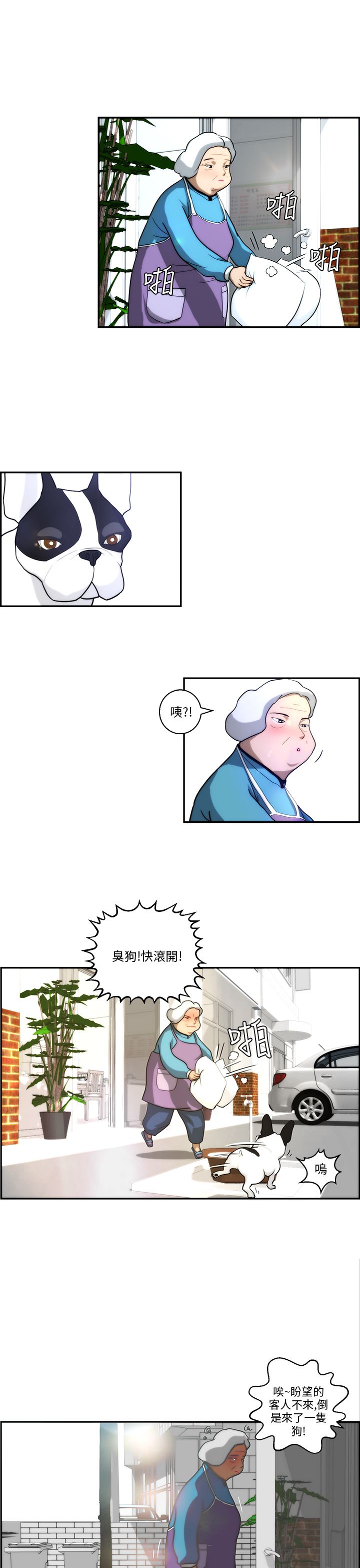 16.jpg