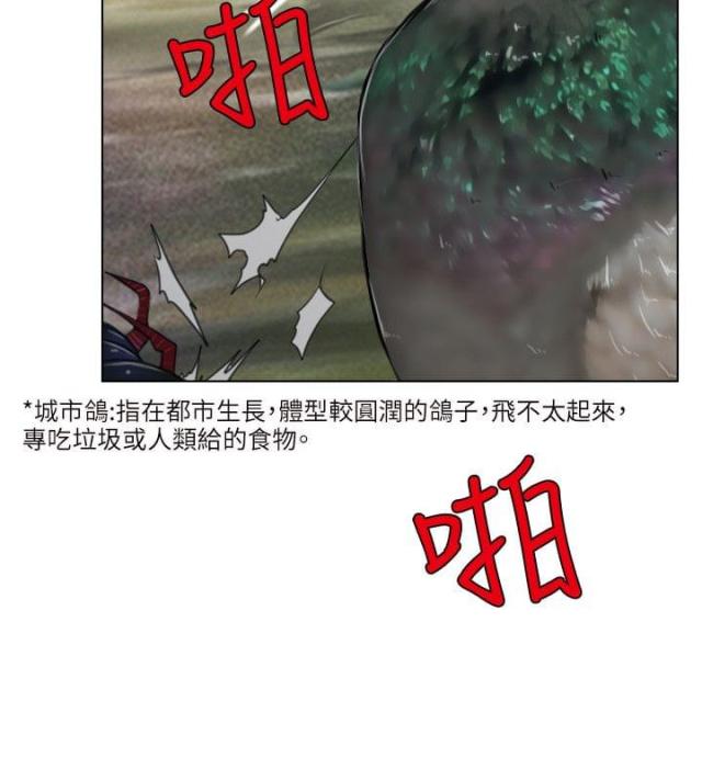 24.jpg